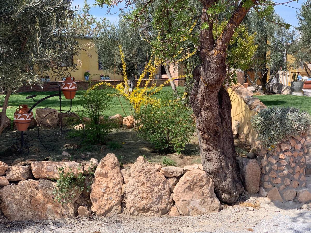 Cortijo Bustamante Vendégház Baza Kültér fotó