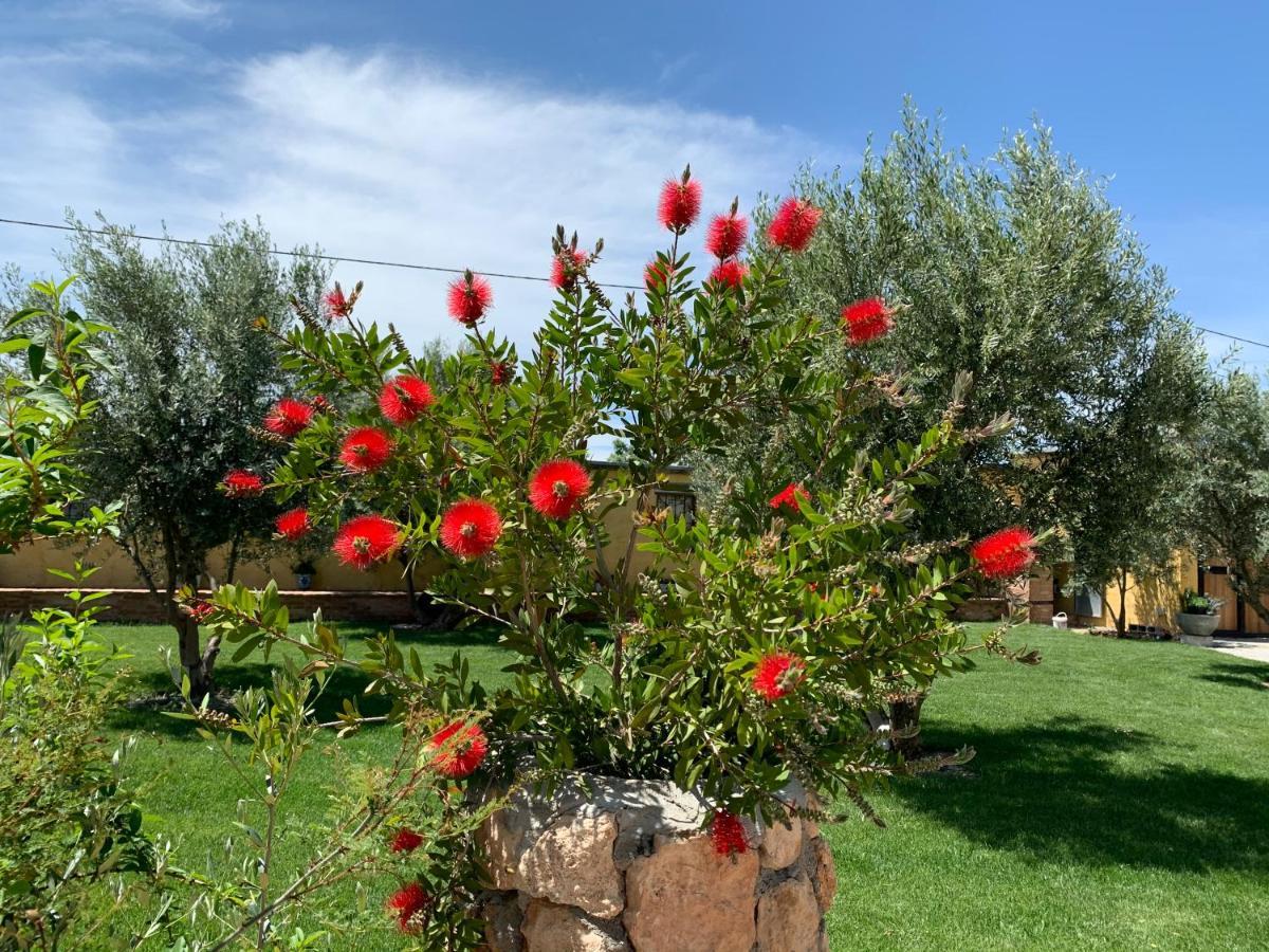 Cortijo Bustamante Vendégház Baza Kültér fotó