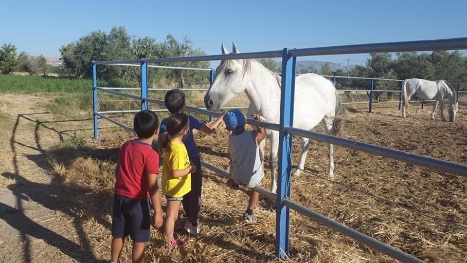 Cortijo Bustamante Vendégház Baza Kültér fotó